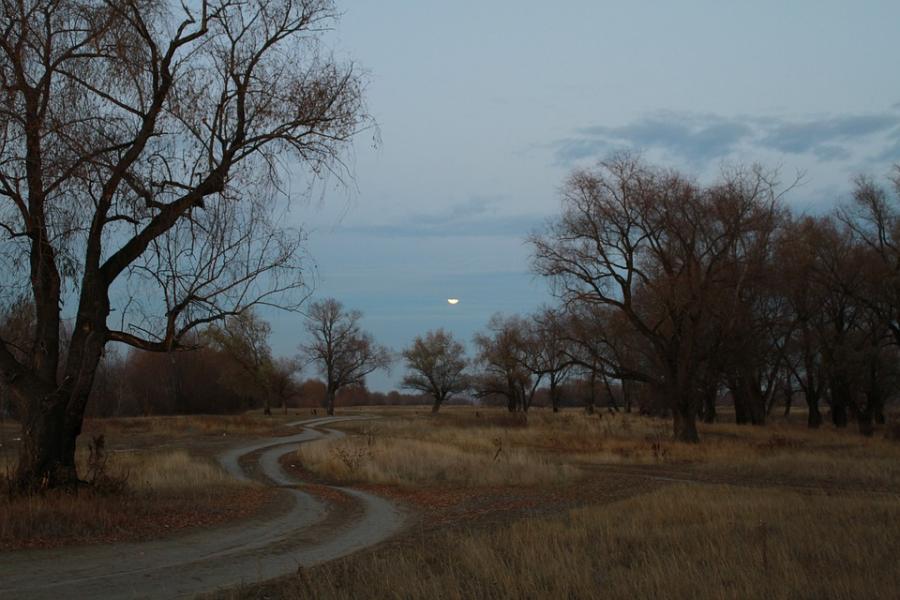 Луна, частично скрытая облаками

автор: samsonov
