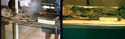 Comparison photos of the alleged alien mummy with the mummy of the boy from the Museum
Translated by «Yandex.Translator»