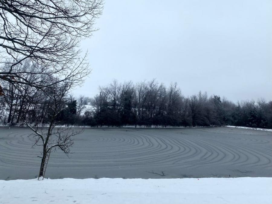 The pond gradually froze, which formed an unusual patternAuthor: u/oranggetree